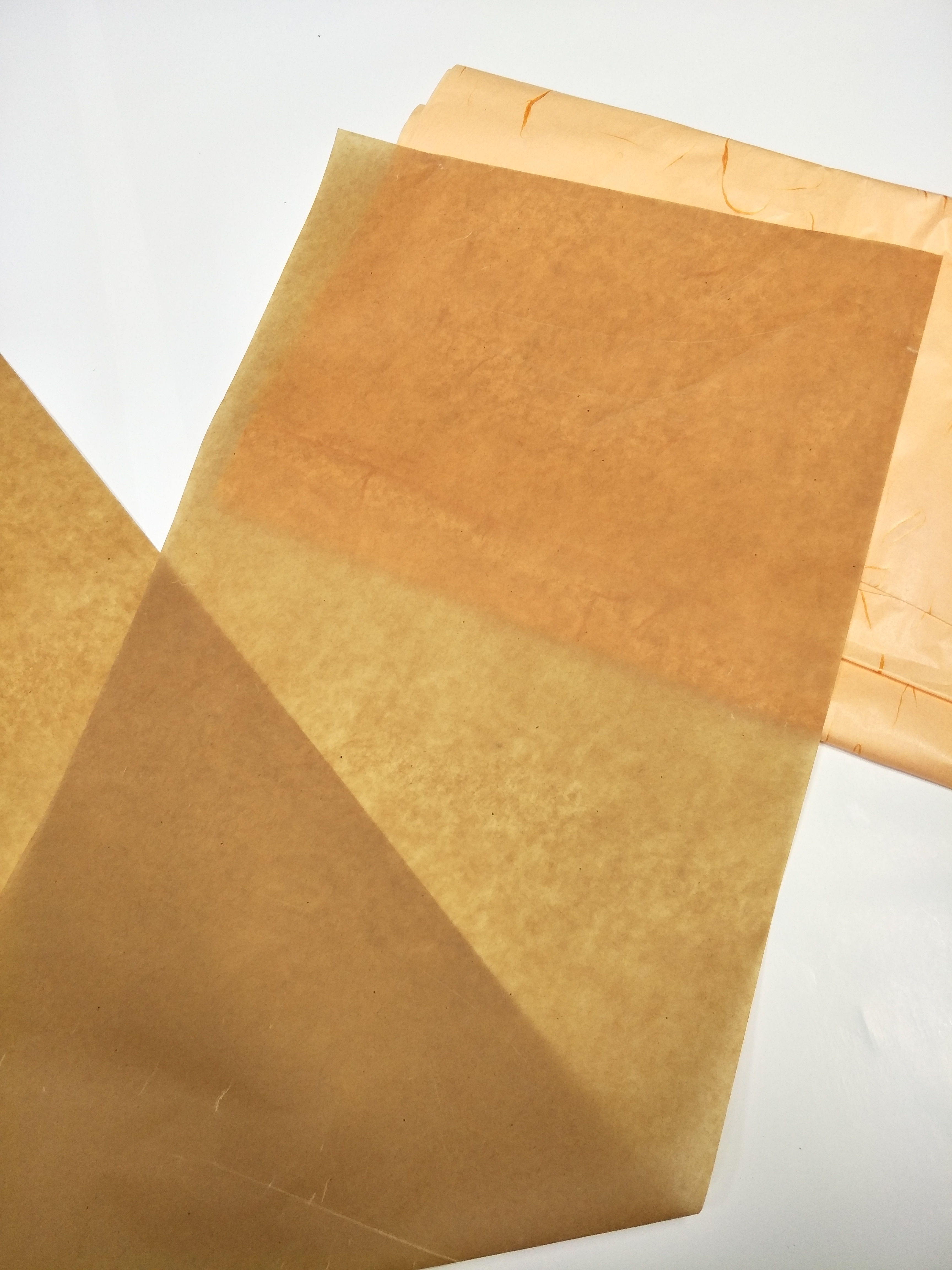 东莞市展旗纸业有限公司